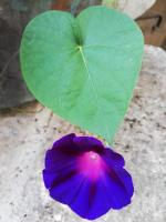 L'usine - Ferienwohnung Pont-de-Labeaume