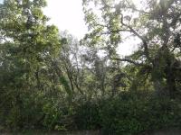 Gite le bagnol un coin de paradis - B&B Maubec