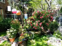 B&B Queens - Explore New York from Queens - Bed and Breakfast Queens