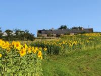 Garden Bank Cottage - Ferienwohnung