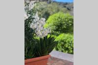 One-Bedroom House with Sea View