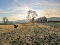 B&B Bishop Auckland - Briar Barn - Bed and Breakfast Bishop Auckland