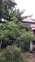 Apartamentos de Férias por Temporada Martim De Sá - B&B