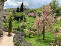 Villa Vento dei Cieli - B&B