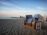 Rosenblick - B&B Zingst