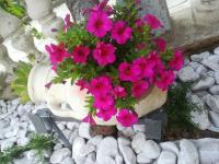 Apartman Pelcic,with WiFi and free parking - B&B Kostrena