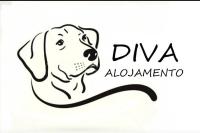 B&B Matosinhos Municipality - Diva Alojamento - Bed and Breakfast Matosinhos Municipality