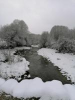 El Cerrillo II - B&B San Martín del Pimpollar