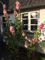 Aasesminde - B&B
