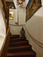 Appartement Pension Bäckenhäusl FERIENWOHNUNGEN Chalets Hütten Komfortzimmer - B&B Uttendorf