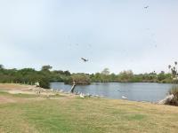 618 Airpark - B&B Oceano