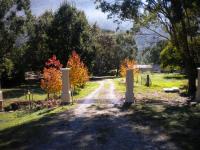 Hillview Oak B&B - B&B