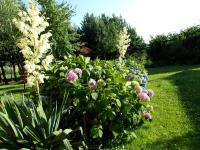 Agroturystyka u Basi - B&B Wola Kalinowska
