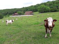 Au Doubs Repos - B&B