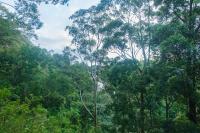 Ella Retreat Hotel Glamping Tent For Nature Lovers - B&B Ella Town