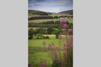 Isla Pod, Kilry eco pods - B&B Blairgowrie