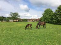 Three Chimneys Farm Accommodation - Ferienwohnung Goudhurst