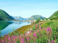 8 person holiday home in Kaldfarnes