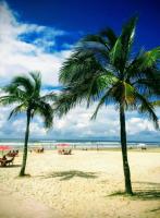 Apartamento para temporada Condomínio Ilha de Noronha Praia Grande SP - Ferienwohnung Praia Grande