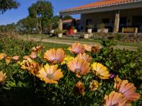 B&B Aljezur - Quinta Reuffurth - Bed and Breakfast Aljezur