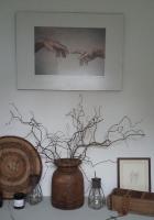 AROHA - B&B Glastonbury