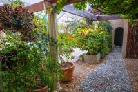 Rosedene Lodge - All solar, all aircon with pool and garden - Chambres d’hôtes Le Cap