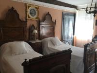 Superior Twin Room with Garden View