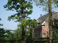 B&B Weleveld - Landgoed De Lavei - Bed and Breakfast Weleveld