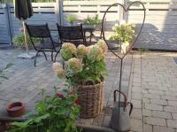 KLEINE LANDLIEBE - Chambres d’hôtes Hohwacht