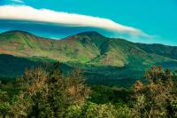 The Blossom Resort - Chikmagalur