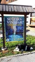 238 Spodnje Gorje - Ferienwohnung Spodnje Gorje