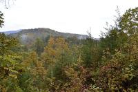 Precious Moments - B&B Gatlinburg