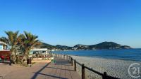 Les Mimosas bord de mer, des plages, du port et de toutes commodités - Chambres d’hôtes Saint-Cyr-sur-Mer