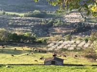 La Seguirilla del Jerte - Bed and Breakfast Casas del Castañar