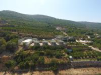 B&B Majdal Shams - White Suites - Bed and Breakfast Majdal Shams