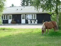 Familiekamer met Eigen Badkamer