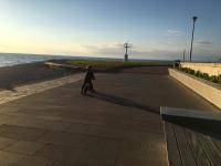 Port - B&B Isola d'Istria