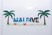 Ampia Camera Matrimoniale/Doppia con Letti Singoli