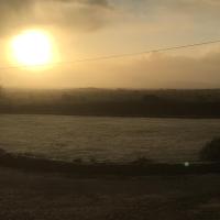 Butterfly cabin - B&B Limerick