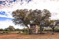 Treehouse Double Tent