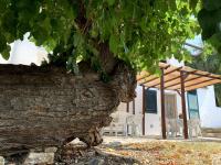 Apartment mit Gartenblick