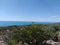 Casa Vista Mare - B&B Mattinata