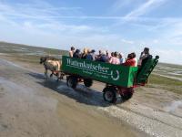 LOFTvorSYLT - B&B Friedrichstadt