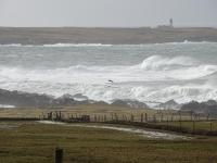 Heather House on the Wild Atlantic Way - Ferienwohnung Carrick