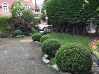 The green house - B&B