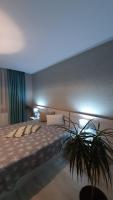 Deluxe Double Room (2 Adults + 1 Child)
