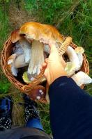 Camera Tripla con Vista Lago