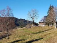 B&B Triberg - Feißesberghof - Bed and Breakfast Triberg