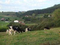 Hotel Rural Rumoroso - B&B Rumoroso