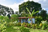 Little House with Butterfly Garden